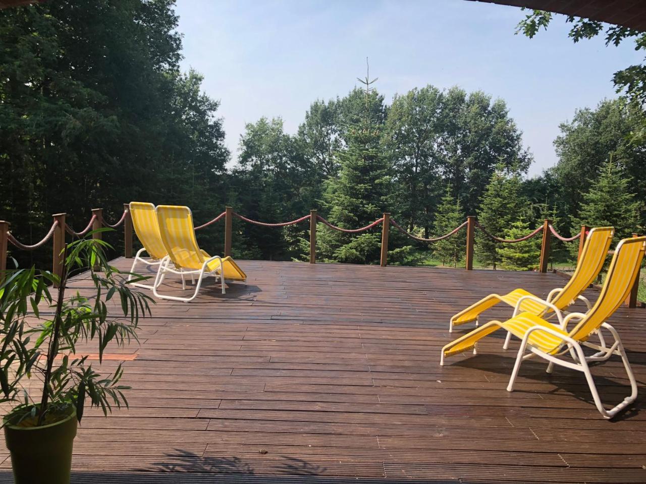 Hotel Niedersaechsischer Hof Bad Bentheim Eksteriør billede